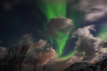 Aurora Boreale in Norvegia 1